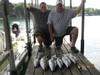 (05/19/2018) - Nice Striped Bass